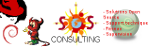 Go to the sos consulting's page